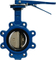 Lug Type Butterfly Valve with Hand Lever