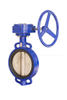 Worm Gear Butterfly Valve with Pin Pn16 JIS10k