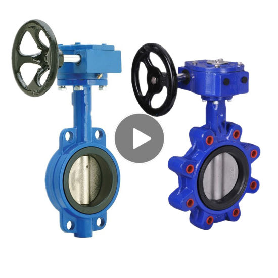 Worm Gear Butterfly Valve with Pin Pn16 JIS10k