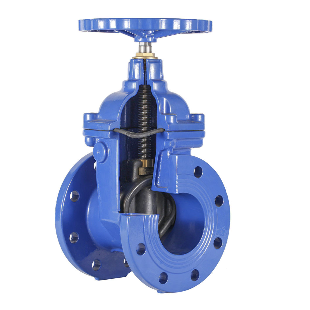 No Rising Stem Resilient Gate Valve 5724