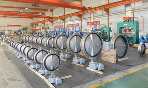 butterfly-valve-1.jpg